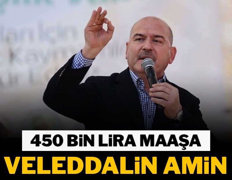 Soylu ayda 4 gün çalışıp 450 bin lira maaş alıyor