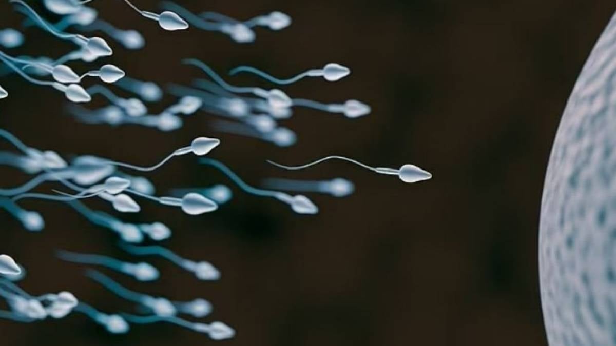 Dünyada ilk kez sperm yarışı yapılacak: Ödülü tam 4,5 milyon TL