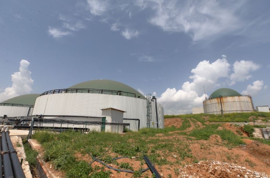 Yıllık 12 bin haneye yetecek elektriği hayvanlardan üretiyor