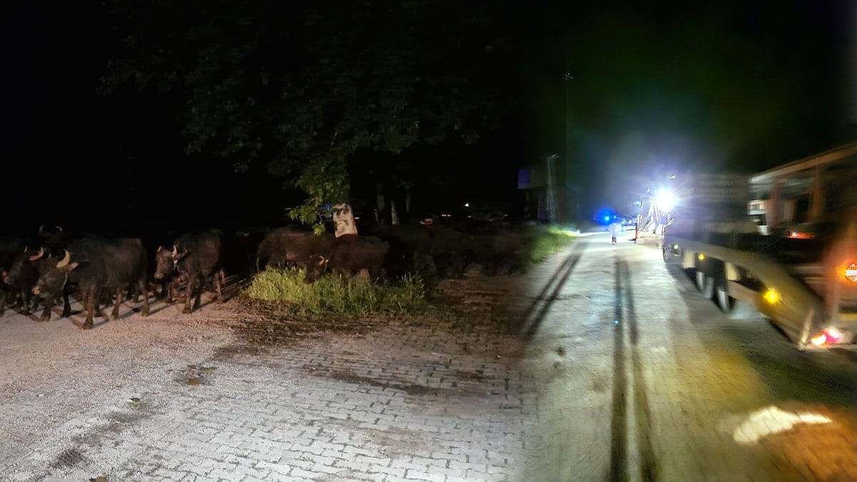 Tokat’ta bir köy tahliye ediliyor!
