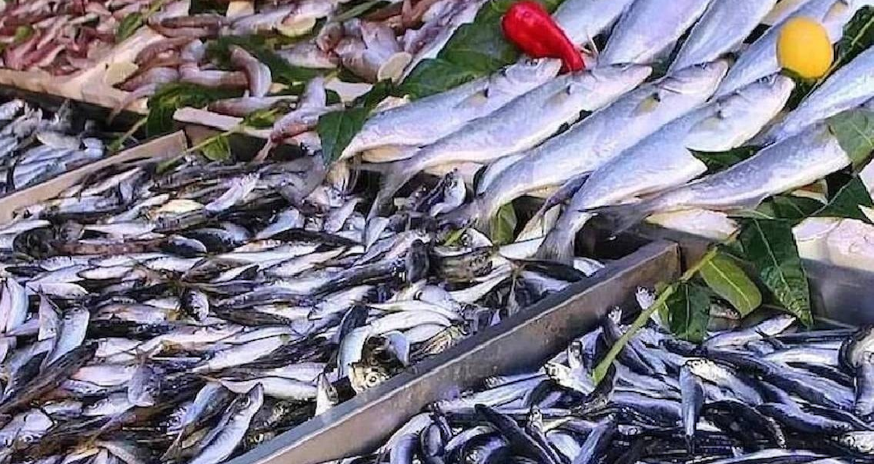 Mayıs ayında bu 3 balığı yemeyin uyarısı yapıldı