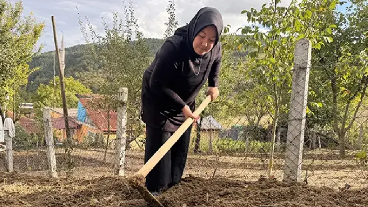 Gördüğü çiçek hayatını değiştirdi: Özel izinle ekti, 3 dönümde 600 kilo üretti