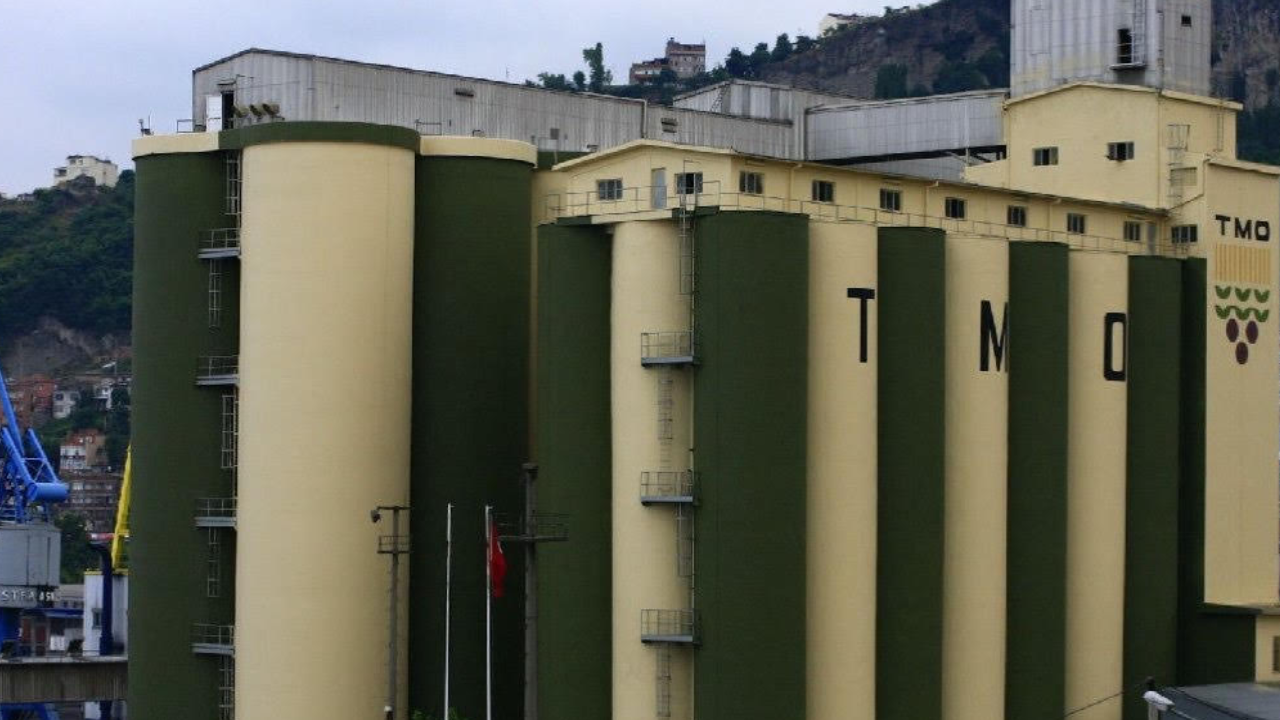 TMO’DA buğday skandalı: 6 bin ton kayıp 100 milyon zarar iddiası