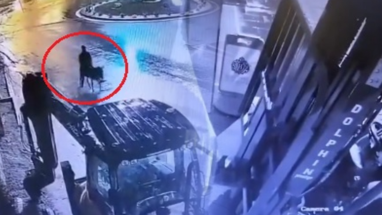 Kuyumcuyu soydu, eşeğe binip kaçtı