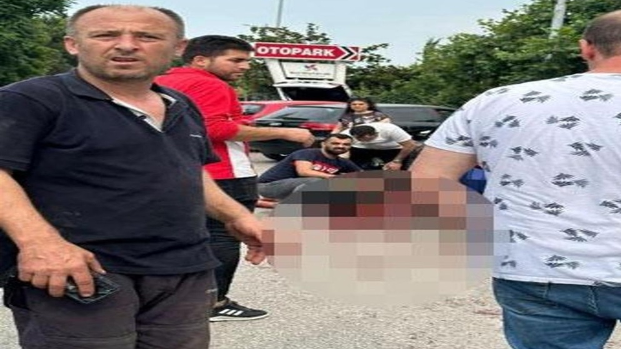 Patronunun boğazını kesip milyonluk çek ve ziynet eşyalarıyla kaçtı