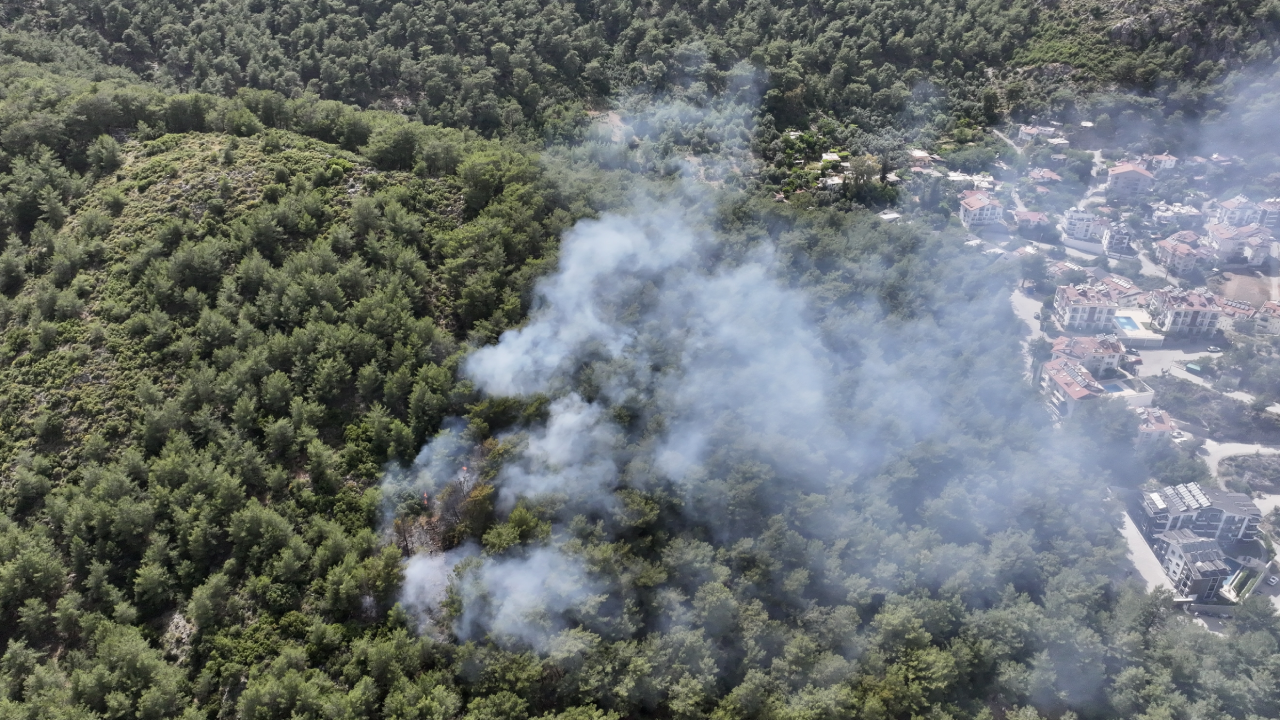 Muğla Fethiye'de orman yangını