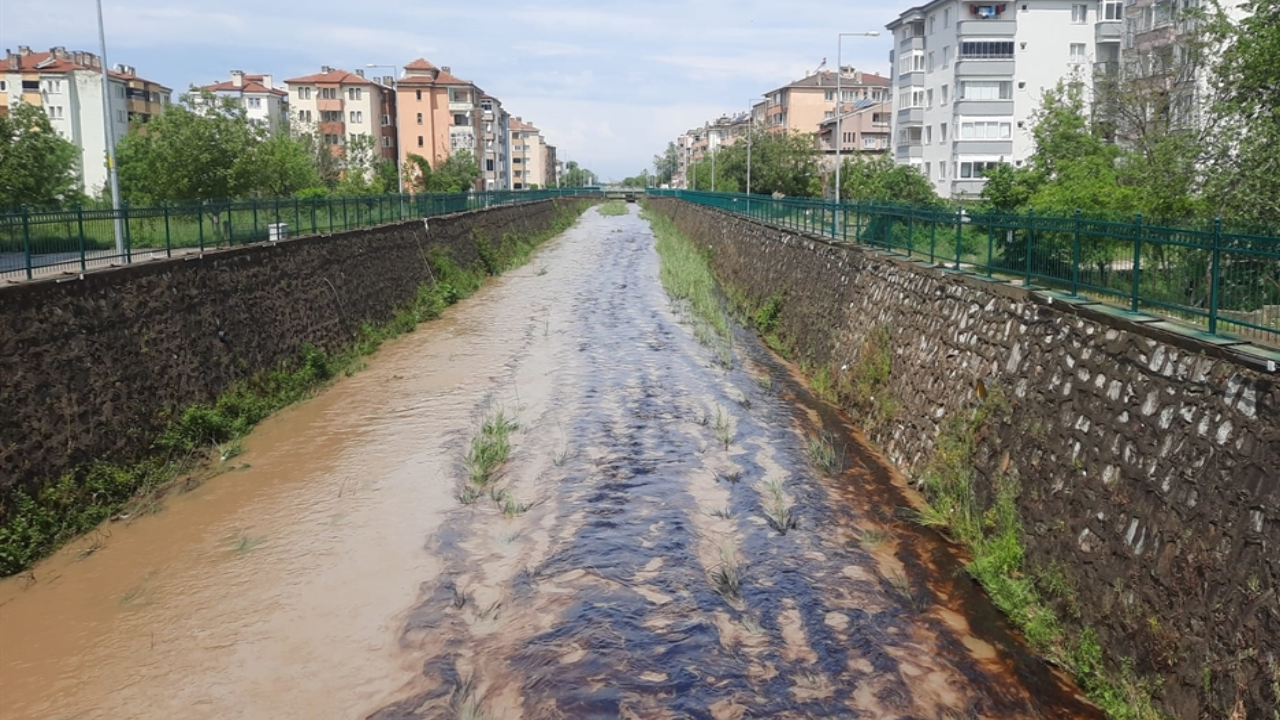 Kastamonu'da dereye kimyasal atık karıştı