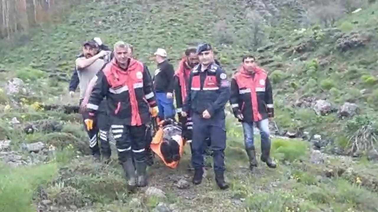 Mantar toplarken ayı saldırdı, ölümden döndü