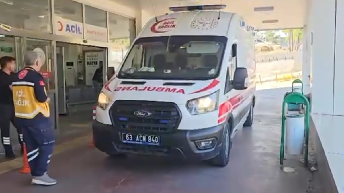 Yılanı vurmak isterken 5 kişiyi yaraladı