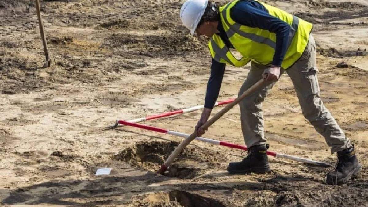 Dağlık bölgede yol çalışmasında kanı mavi akan yaratık keşfedildi