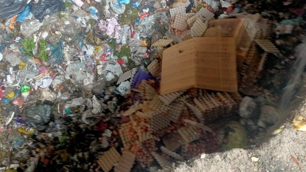 Sahte “organik” yumurta operasyonu: 42 bin adet imha edildi