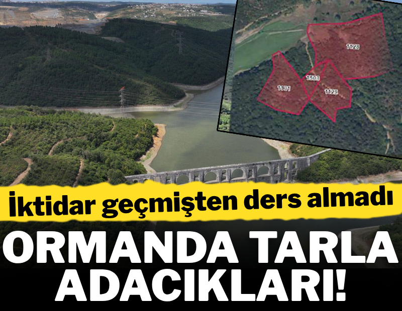 İstanbul’un ormanları talana açılıyor