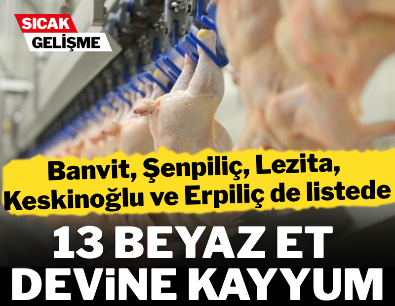Beyaz et devlerine operasyon: Banvit, Erpiliç, Şenpiliç ve Lezita'ya kayyum atandı