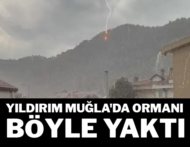 Yıldırım Muğla’da ormanı böyle yaktı