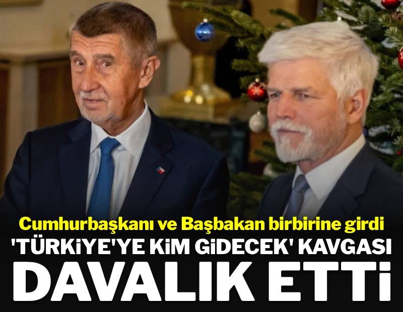 Türkiye'ye kim gidecek tartışması mahkemeye taşındı: Cumhurbaşkanı ve Başbakanlık davalık oldu