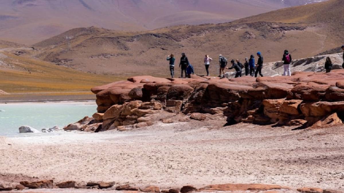 500 yıldır yağmur almayan çöl çiçek bahçesine döndü