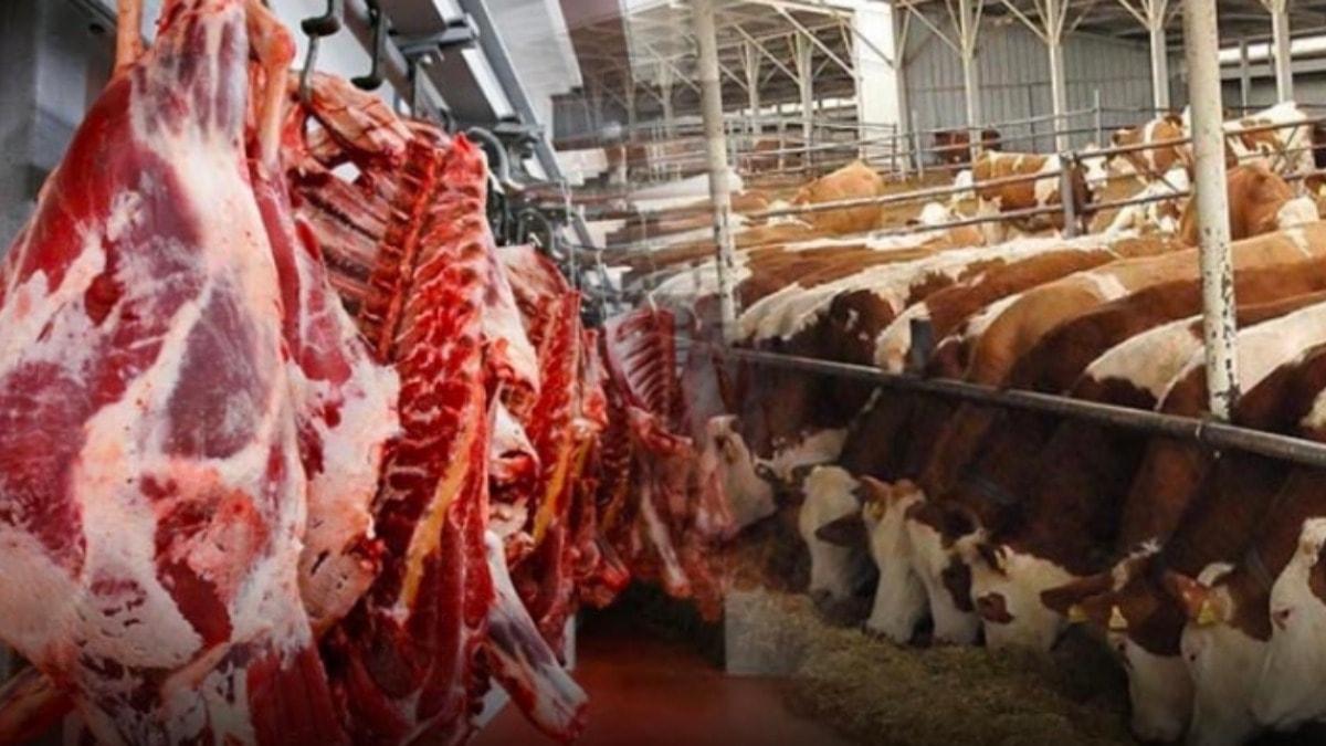 Paraguay asıl golü Türkiye'ye sığır eti ithalatı ile attı