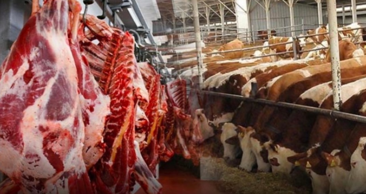 Paraguay asıl golü Türkiye'ye sığır eti ithalatı ile attı