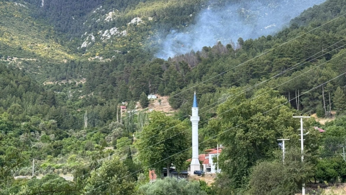 Orman yangını korkuttu! Alevler yerleşim yerlerine yakın bölgede yükseldi