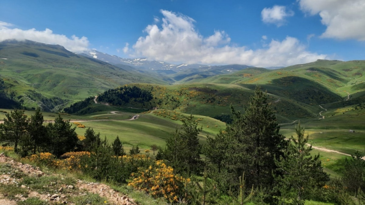 Karadeniz’in doğa harikası yaylalarındaki rant hırsı büyüyor