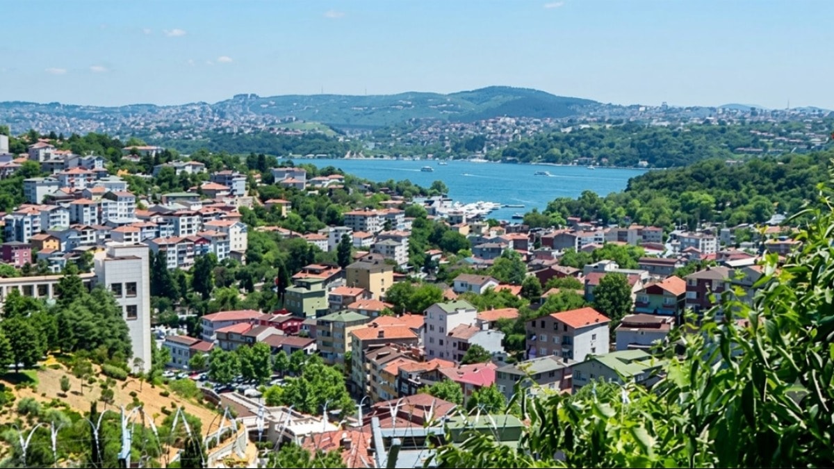 Bir sabah kalktılar ve tapularının elden gittiğini öğrendiler