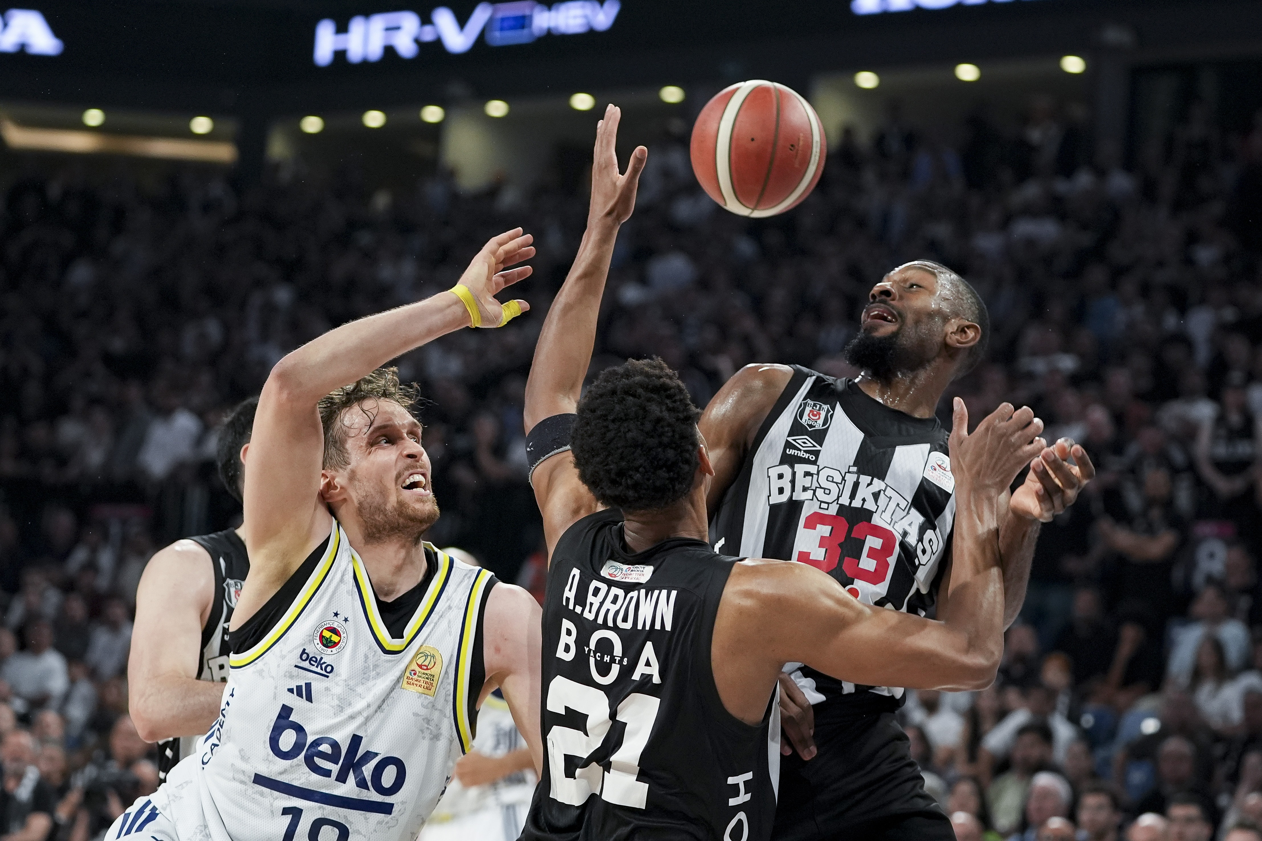 Fenerbahçe Beko şampiyon
