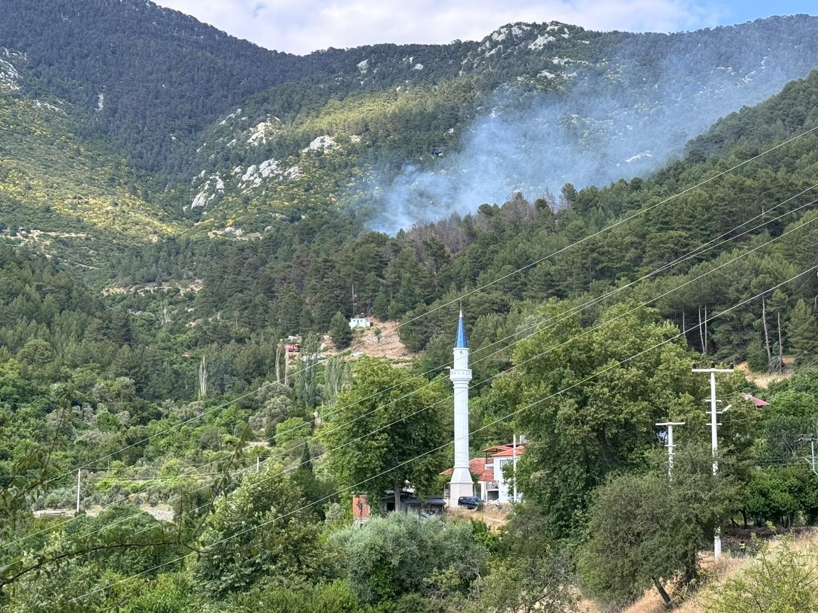 Antalya'da ormanlık alanda yangın