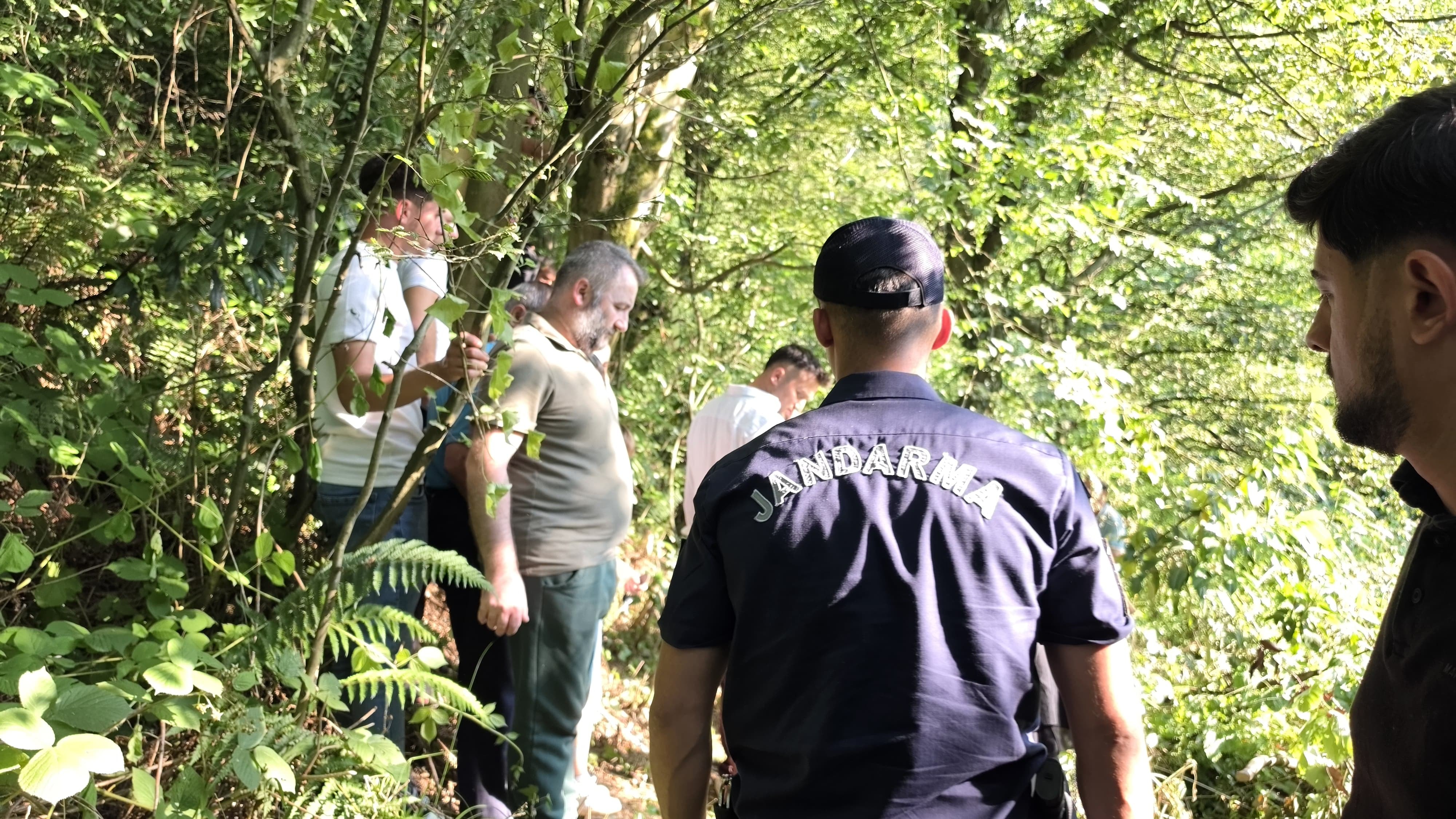 Ihlamur toplamaya çıktı, ormanlık alanda ölü bulundu