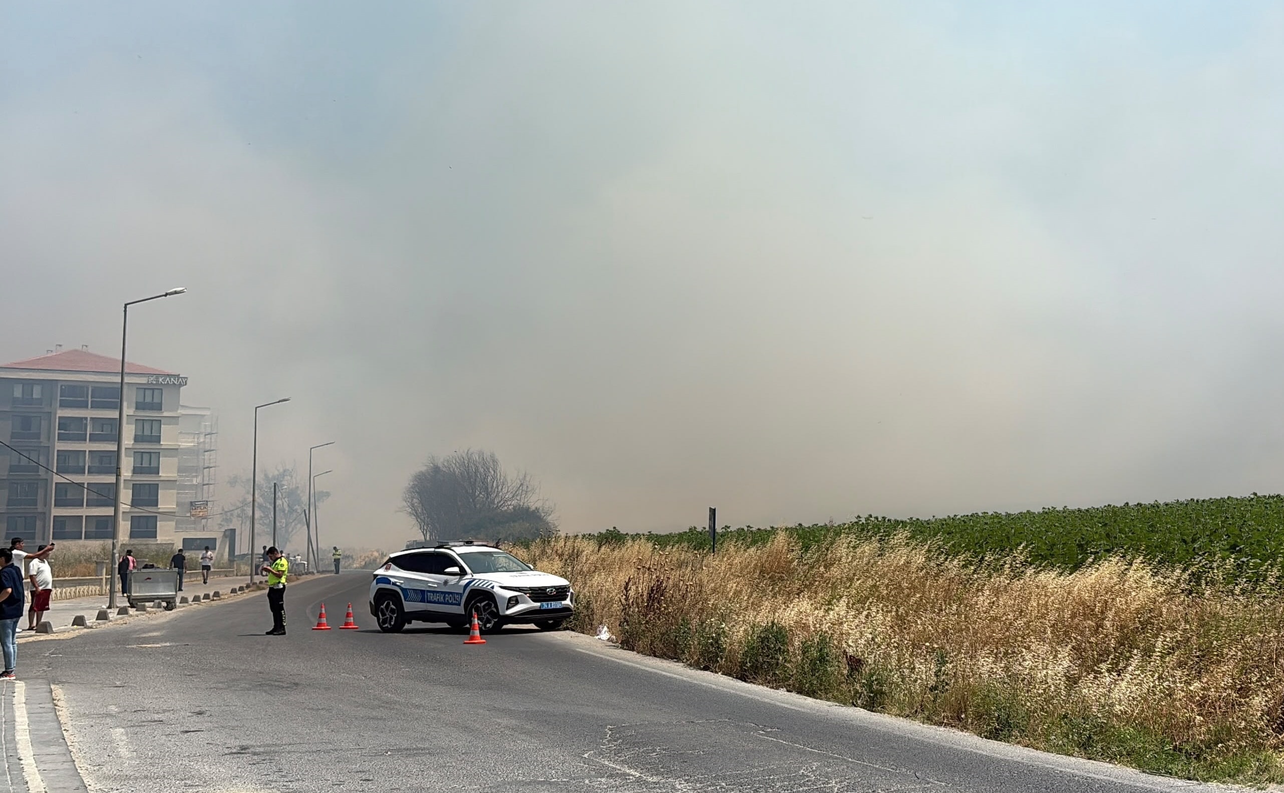 Silivri'de otluk yangını! Müdahale sürüyor