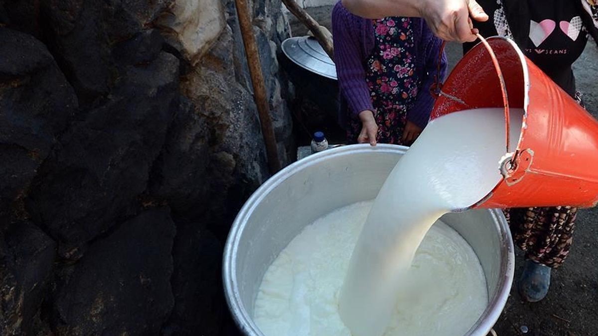 Ankara'da 9 Ton bozuk süt yakalandı