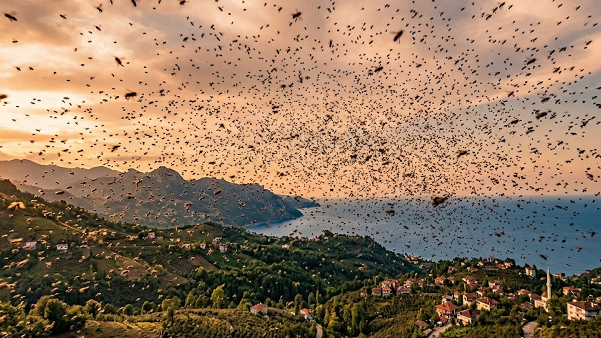 300 bin tanesini havaya bıraktılar 