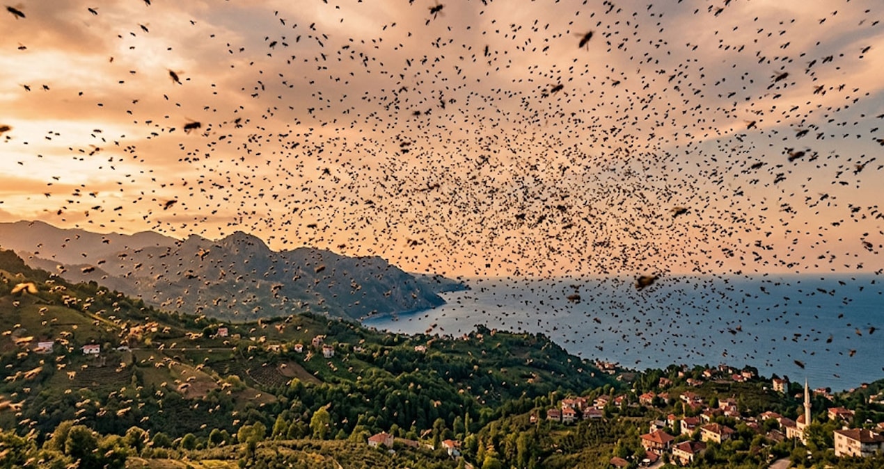 300 bin tanesini havaya bıraktılar