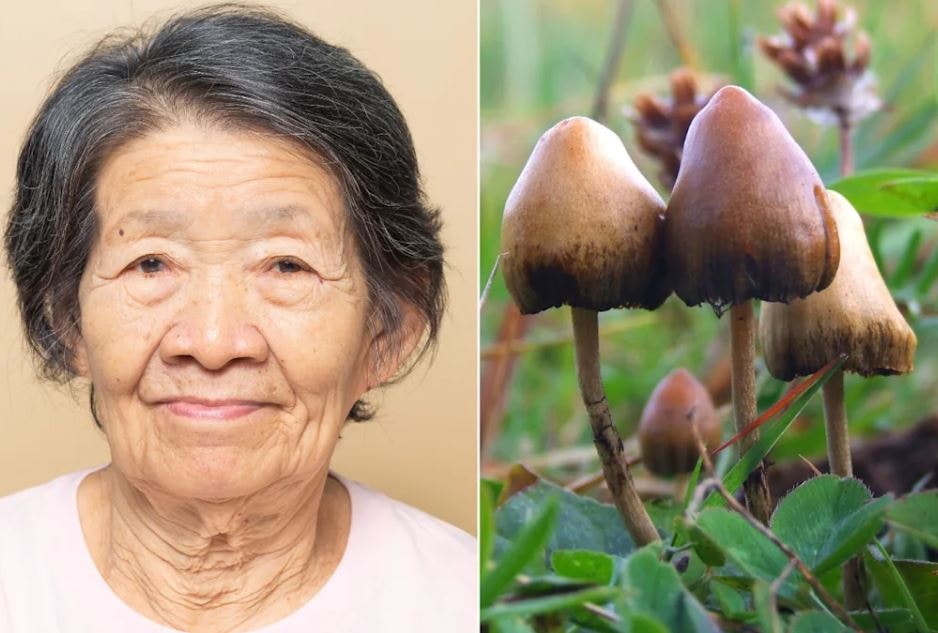 5 yıl boyunca tek kelime etmemişti: Alzheimer hastası yaşlı kadın üzerinde bunu denediler