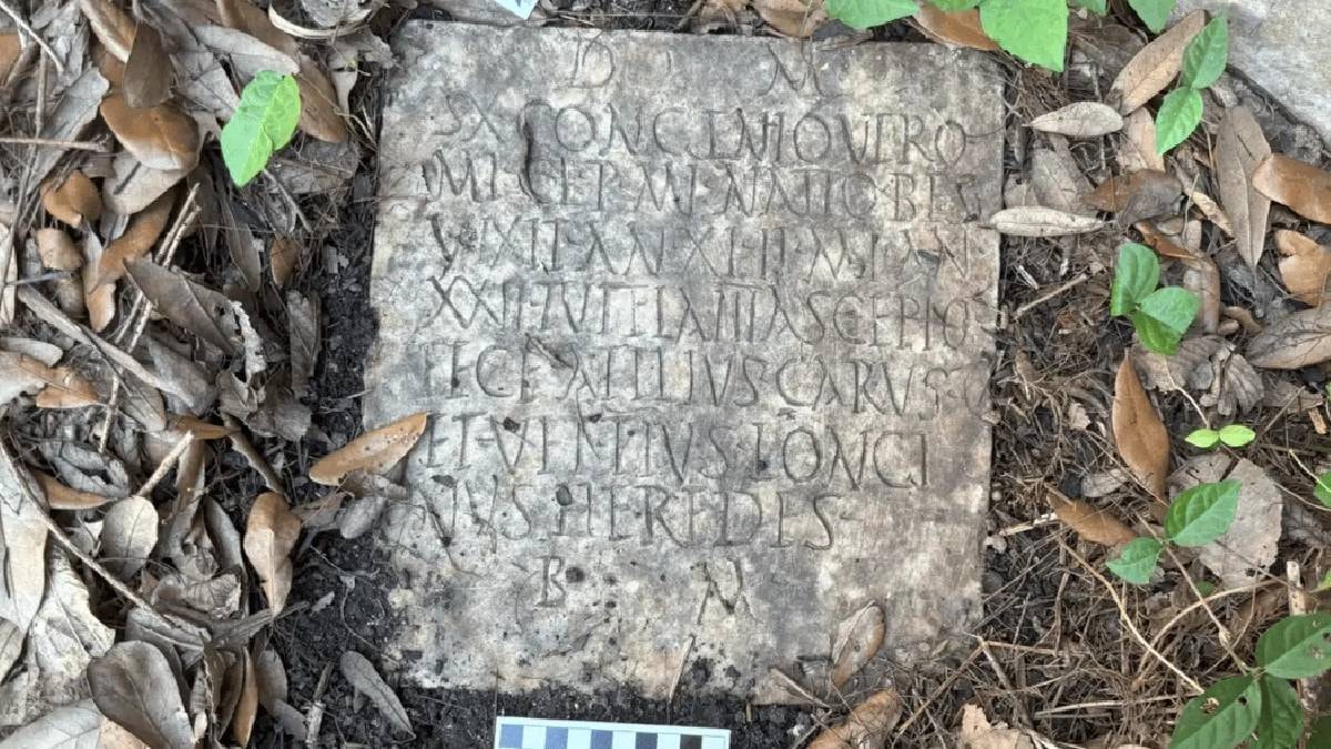 Bahçede ot yolarken 2000 yıllık tarihi hazineyi buldular