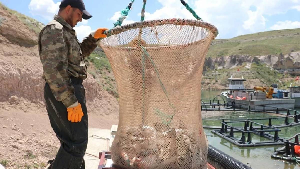 Türkiye'de denizi olmayan şehirden 49 ülkeye günde 100 ton balık satılıyor