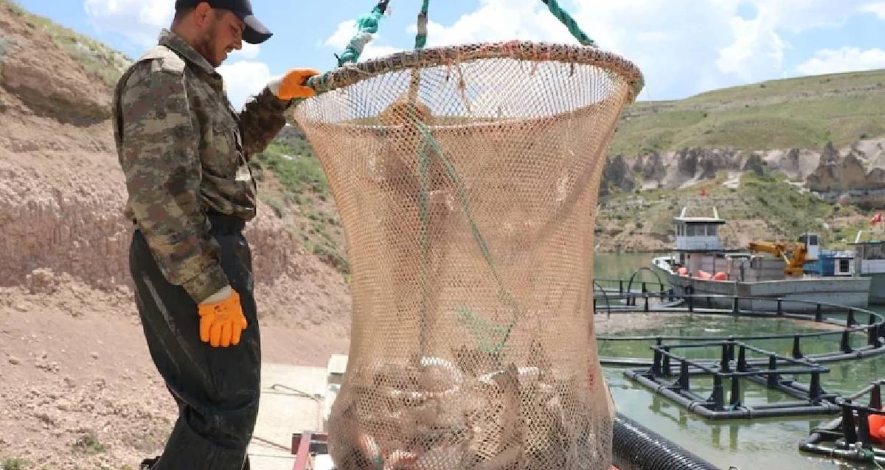 Türkiye'de denizi olmayan şehirden 49 ülkeye günde 100 ton balık satılıyor