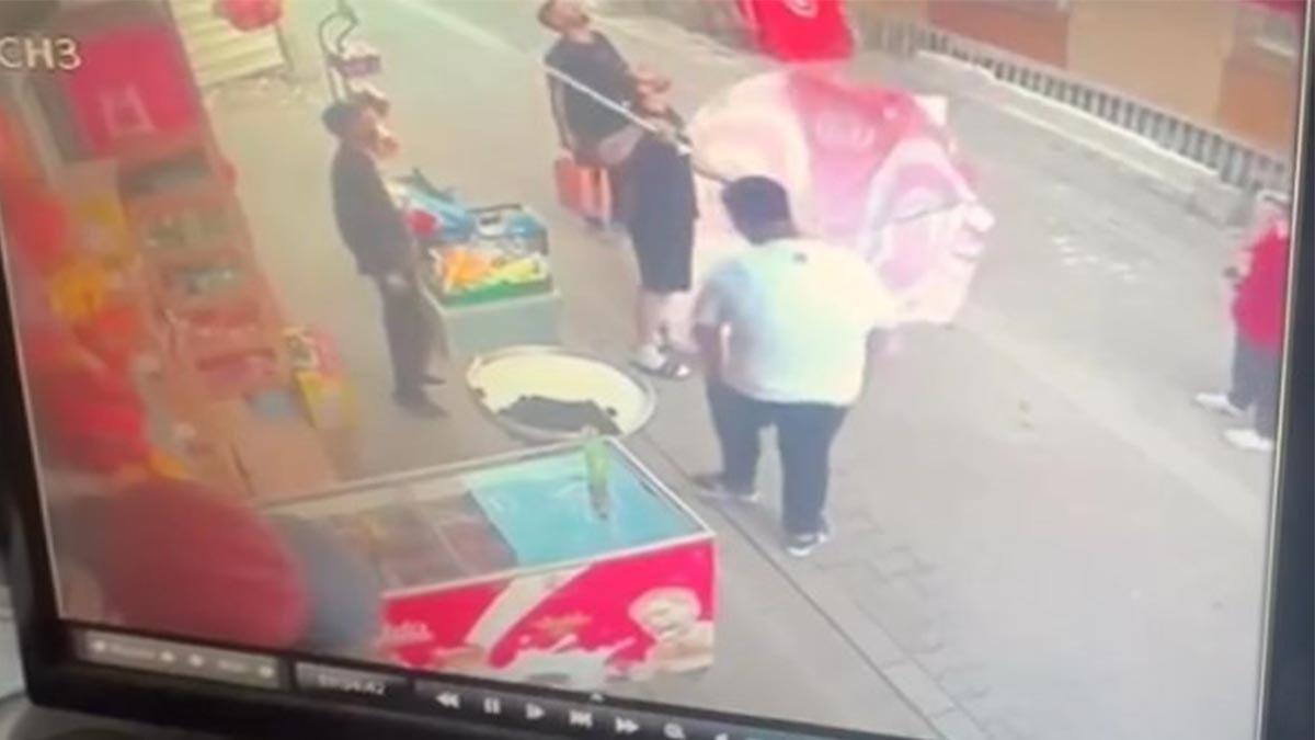 8'inci kattan düşen yavru kediyi şemsiyeyle kurtardı