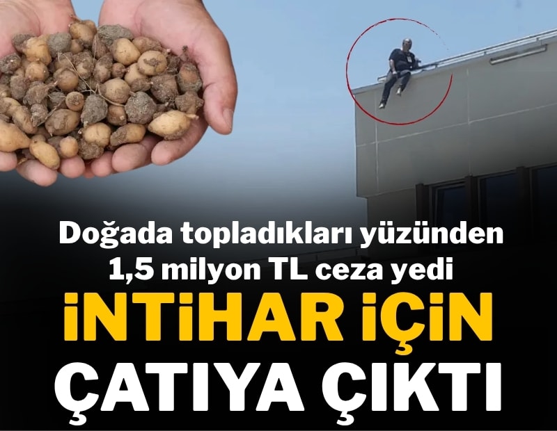 Topladığı salepler başına dert oldu; Milyonluk ceza sonrası soluğu çatıda aldı