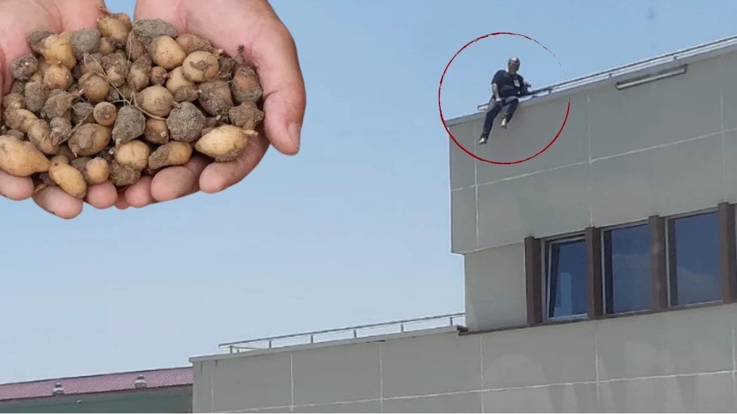 Topladığı salepler başına dert açtı; Milyonluk ceza sonrası soluğu çatıda aldı