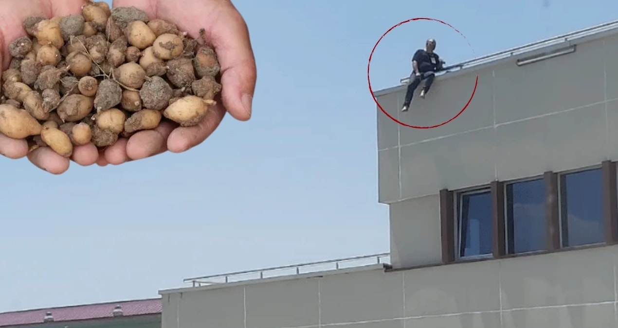Topladığı salepler başına dert oldu; Milyonluk ceza sonrası soluğu çatıda aldı