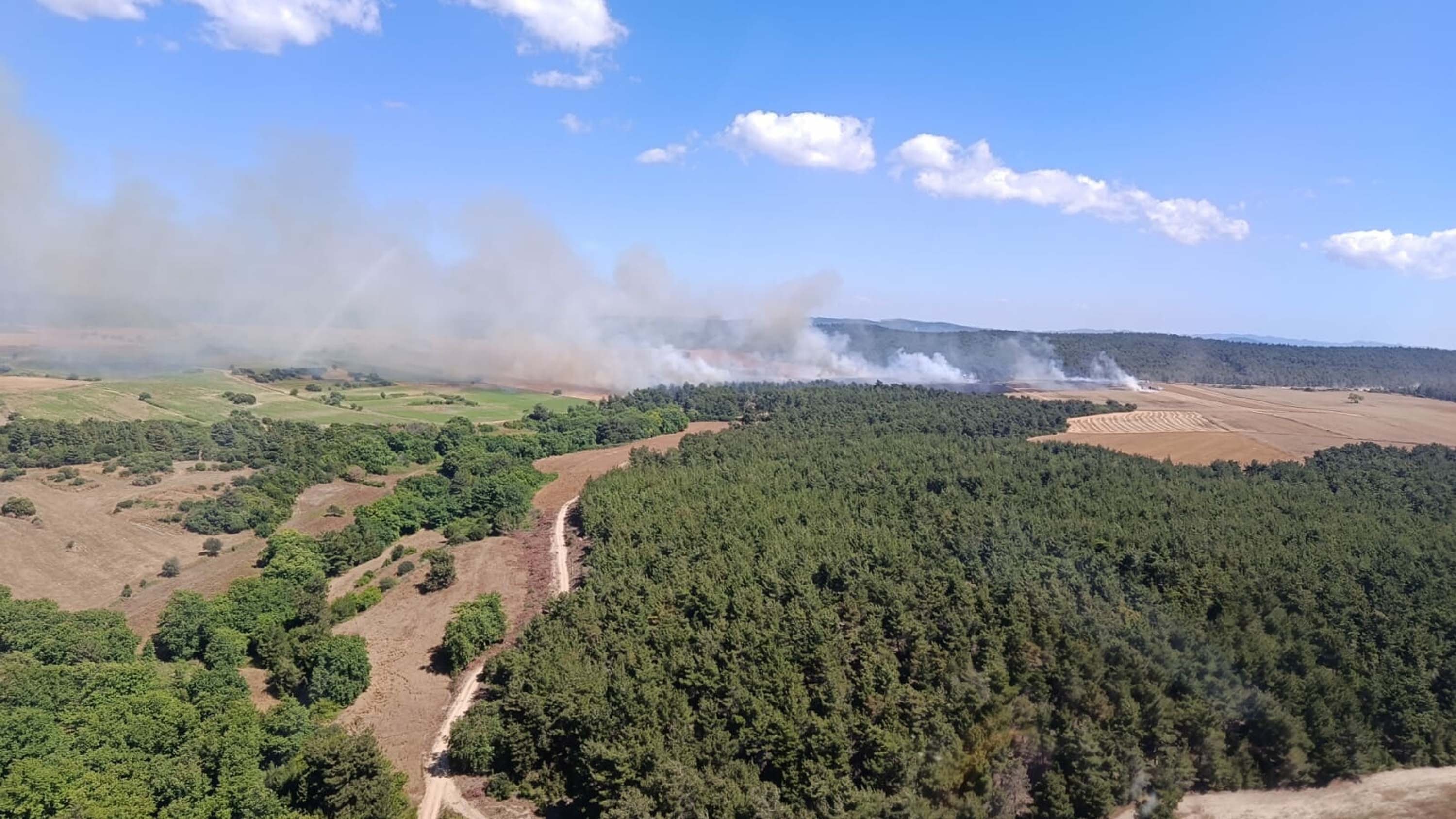 Çanakkale'de orman yangını büyüyor