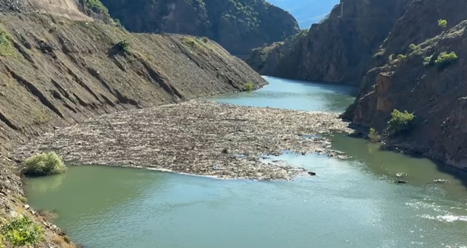 Artvin'de kamyonet dereye düşmüştü! 14'üncü günde acı haber: Oğul ölü bulundu, baba aranıyor