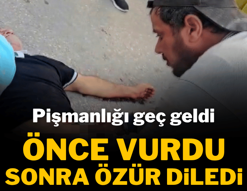 Pompalı tüfekle vurdu, mahkemede özür diledi