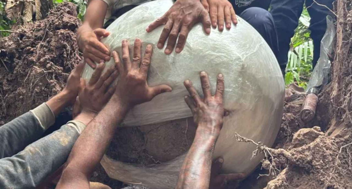 Köklerin altından tam 7 tane çıktı