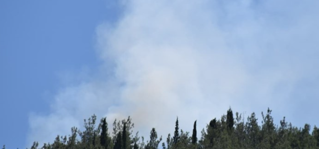 Manisa'da orman yangını! Müdahale devam ediyor