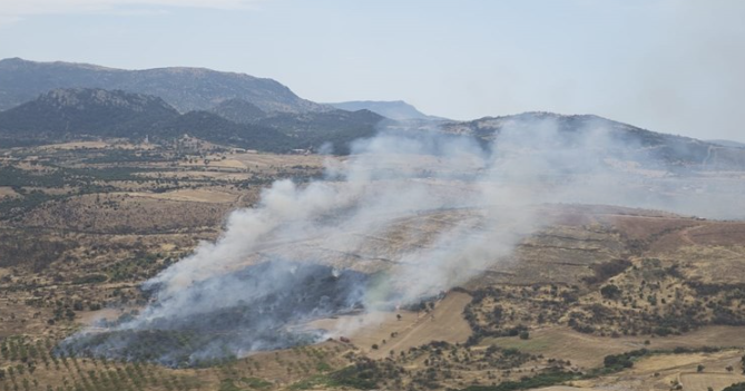 Çanakkale'de orman yangını! Müdahale sürüyor