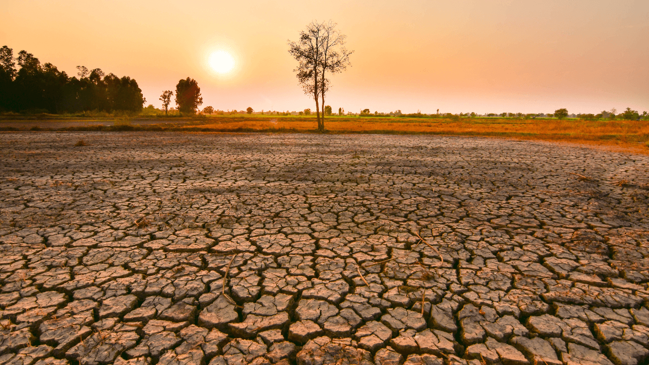 Uyarılar sonunda gerçek oldu: El Nino dalgası başladı