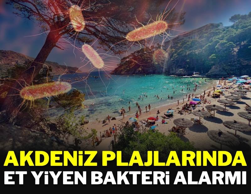 Akdeniz plajlarında et yiyen bakteri alarmı