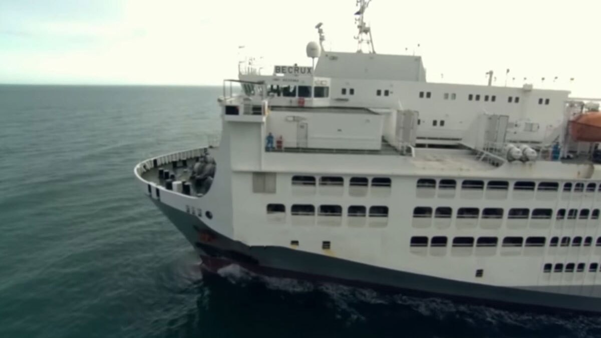 Deniz suyunu yutup tatlı suya çeviriyor: Günde 300 ton yem tüketiyor