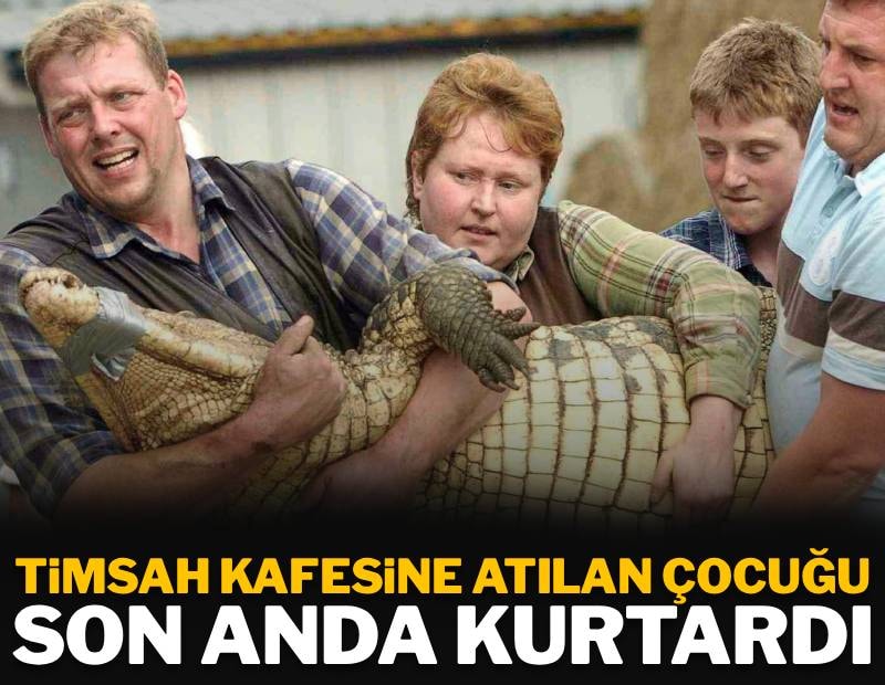 3 yaşındaki çocuğu timsah kafesine fırlattı: Hayvanat bahçesi çalışanı son anda kurtardı